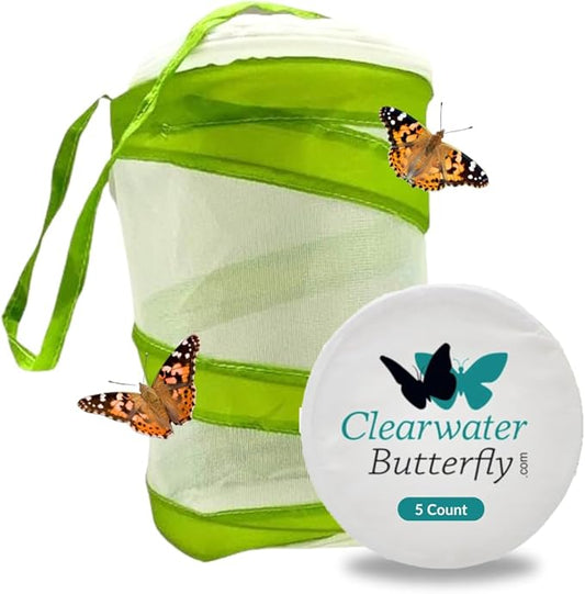 Clearwater Butterfly Live Painted Lady Butterflies - Butterfly Growing Kit with Live Caterpillars - Mesh Cage Included - Butterfly Habitat - 5 Live Caterpillars to Butterflies - Live Butterfly Kit-CubbioJoy