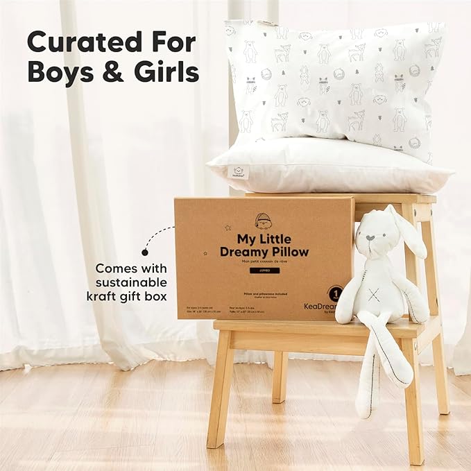 KeaBabies Toddler Pillow with Pillowcase, Jumbo 14X20 - Soft Organic Cotton Toddler Pillows for Sleeping - Machine Washable - Perfect for Travel, Toddler Bed Set (Space Drift)-CubbioJoy