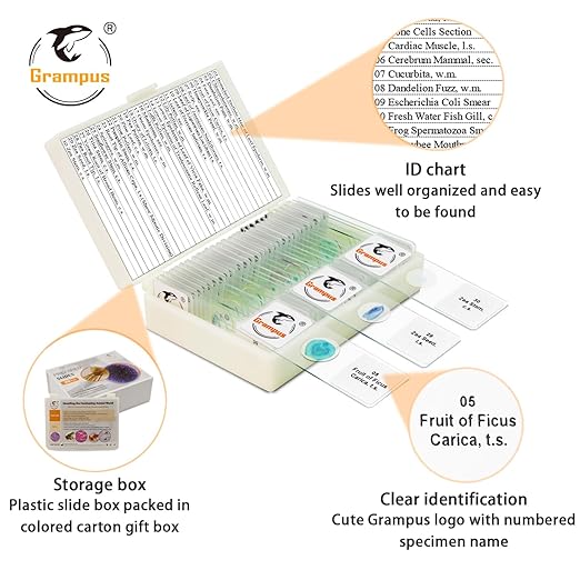 30 Prepared Microscope Slides with Specimens for Kids Students - Plants, for Biological Science Lab, Children's Science Education, Homeschooling Use-CubbioJoy