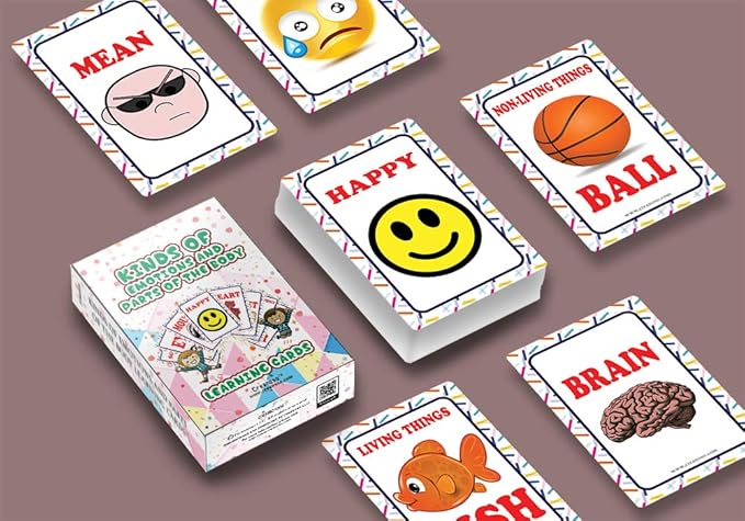 Creanoso US Schools and Learning Flash Cards Series (2-Deck)-CubbioJoy