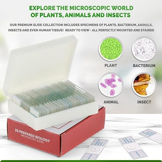 AmScope 25pc Prepared Glass Microscope Slides in Plastic Case with Plant, Fungus, Insect and Mammal Specimens-CubbioJoy