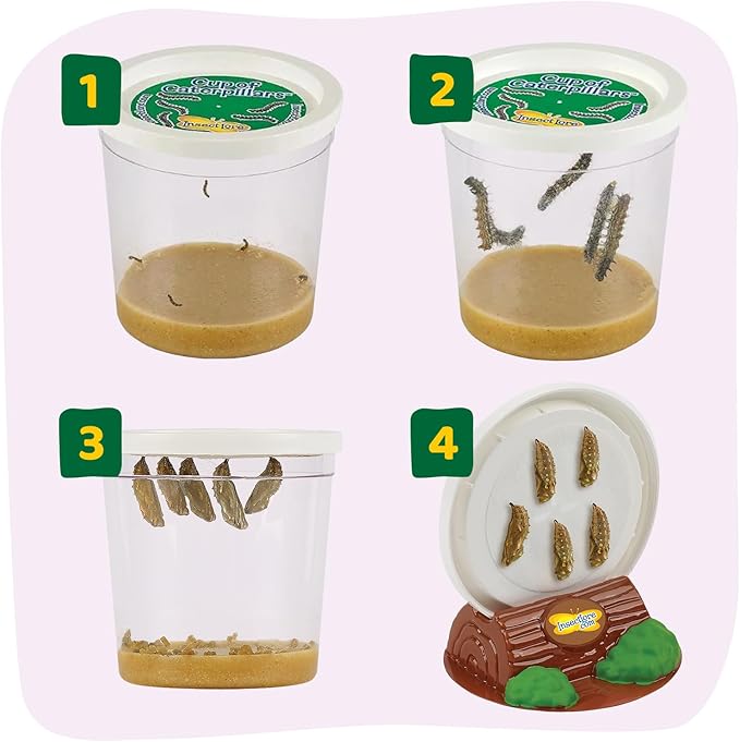 Insect Lore Butterfly Garden - 8" Habitat with 5 Live Baby Caterpillars - Includes Life Cycle Figurines, Stickers, Wind up, Mini Habitat | Birthday or Teacher Gift Set-CubbioJoy