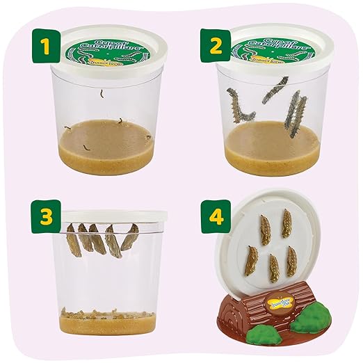 Insect Lore Cup of Caterpillars - 5 Live Painted Lady Caterpillars with Food - Refill for Butterfly Garden Kit - Stickers & Chrys-A-Lid Holding Log Included - STEM Learning Activity-CubbioJoy