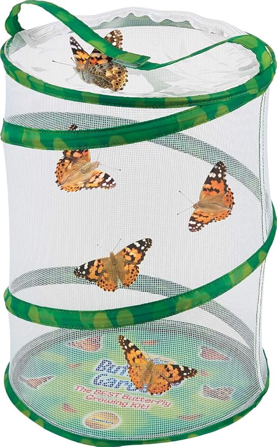 Insect Lore Butterfly Garden with Two Cups of Live Caterpillars, Life Cycle Figurines, English and Spanish Butterfly STEM Activity Journals | 10 Painted Lady Butterfly Baby Caterpillars-CubbioJoy