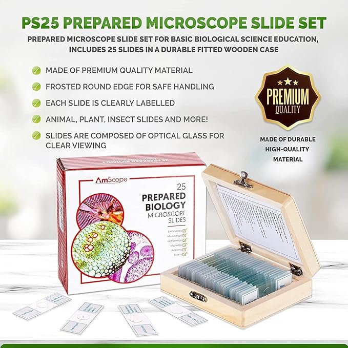 AmScope PS25W Prepared Microscope Slide Set for Basic Biological Science Education, 25 Slides, Includes Fitted Wooden Case-CubbioJoy
