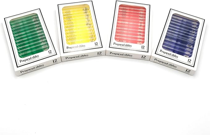48pcs Prepared Plastic Microscope Slides Biological Specimen with 4 Boxes for Children Student Enlighten Education-CubbioJoy