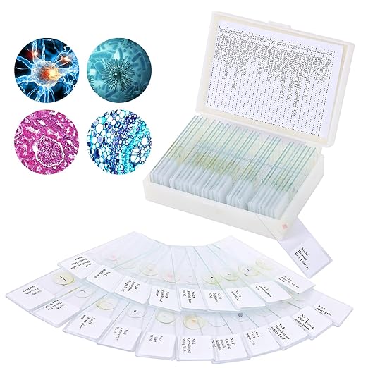 30 Microscope Slides with specimens, Plants, Insects, Animal Cell Samples for use in Biological Science Labs for Children, Students and homeschools-CubbioJoy