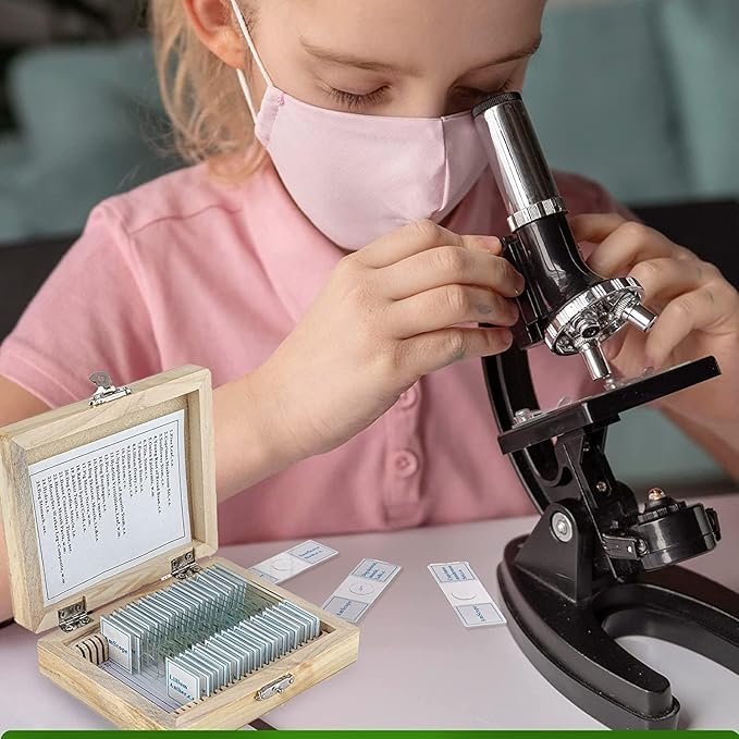 AmScope PS25W Prepared Microscope Slide Set for Basic Biological Science Education, 25 Slides, Includes Fitted Wooden Case-CubbioJoy
