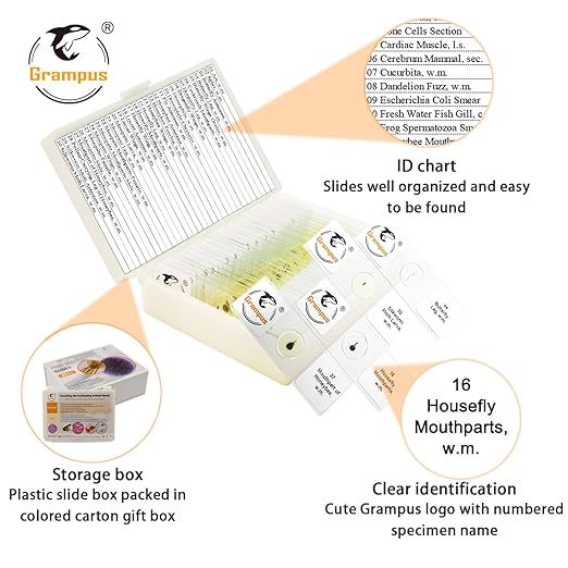 30 Prepared Microscope Slides with Specimens for Kids Students - Insects, for Biological Science Lab, Children's Science Education, Homeschooling Use-CubbioJoy
