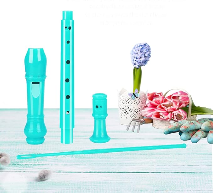 Descant Soprano Recorder Music Recorder Instrument for Kids Flute Kids Recorder with Cleaning Rod + Case Bag…-CubbioJoy