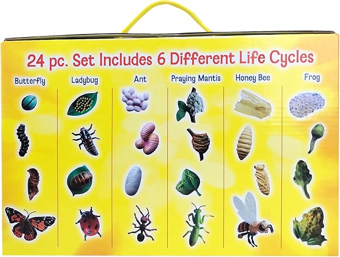 Insect Lore's Life Cycle Figurines 24 Pc Set | Butterfly, Ladybug, Frog, Honey Bee, Ant and Praying Mantis | 4 Stages Per Insect, 24 Figurines Total-CubbioJoy