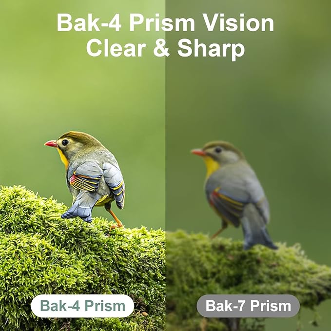 12X25 Mini Pocket Binoculars for Adults Kids, Small Compact Binoculars for Bird Watching, Opera Concert-CubbioJoy