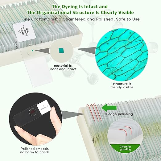 30 Microscope Slides with Specimens,Prepared Microscope Slides for Kids,Glass Slides for Microscope,Prepared Slides for Kids Microscope,Microscope Slide Preparation Kit for Biology Science Classes-CubbioJoy