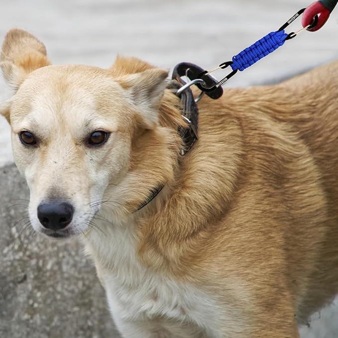 BRAVESHINE Paracord Keychain Carabiner Clip, D Ring Lanyard Hanger Stroller Hook for Water Bottle, Key, Backpacks, Men, Women-CubbioJoy