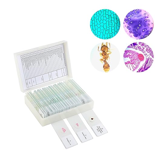 30 Microscope Slides with Specimens,Prepared Microscope Slides for Kids,Glass Slides for Microscope,Prepared Slides for Kids Microscope,Microscope Slide Preparation Kit for Biology Science Classes-CubbioJoy