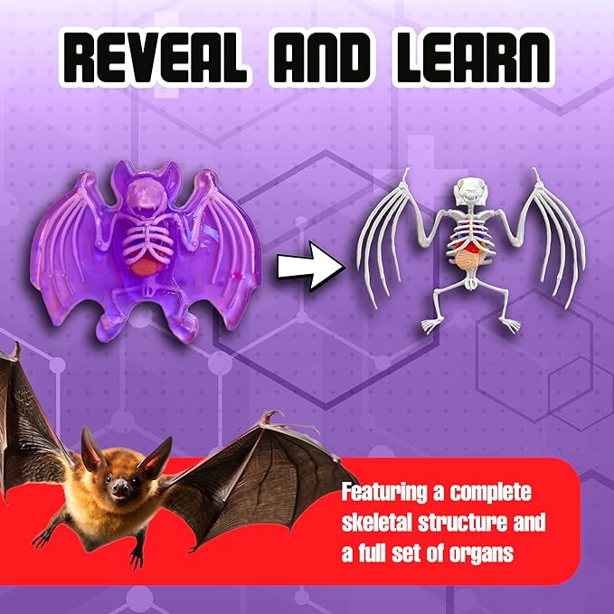 Dissect-It Simulated Synthetic Lab Dissection Toy, STEM Projects for Kids, Animal Science, Biology, and Anatomy Home Learning Kit, Bat-CubbioJoy
