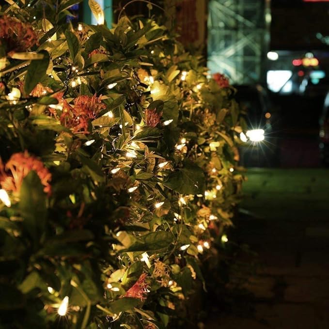 Brizled Christmas Lights Warm White, 2 Pack 33ft 100 LED Christmas String Lights, 120V UL Certified Connectable Xmas Tree Lighting Mini Xmas Light Set for Holiday Tree Home Party Indoor Outdoor Decor-CubbioJoy