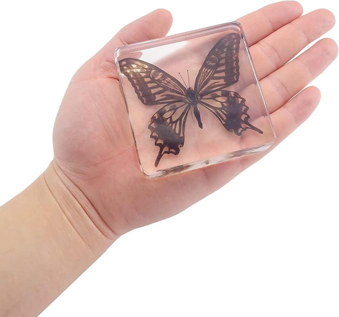 4 PCS Butterfly Specimen Set, Danaus Genutia, Graphium Sarpedon, Asian Swallowtail, Delias Pasithoe Butterfly Resin Collection Science Toys-CubbioJoy