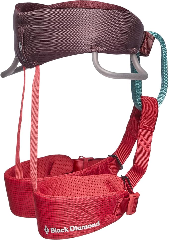 BLACK DIAMOND Kids Momentum Climbing Harness, One Size, Fits Most Children Between 35-80 lbs-CubbioJoy