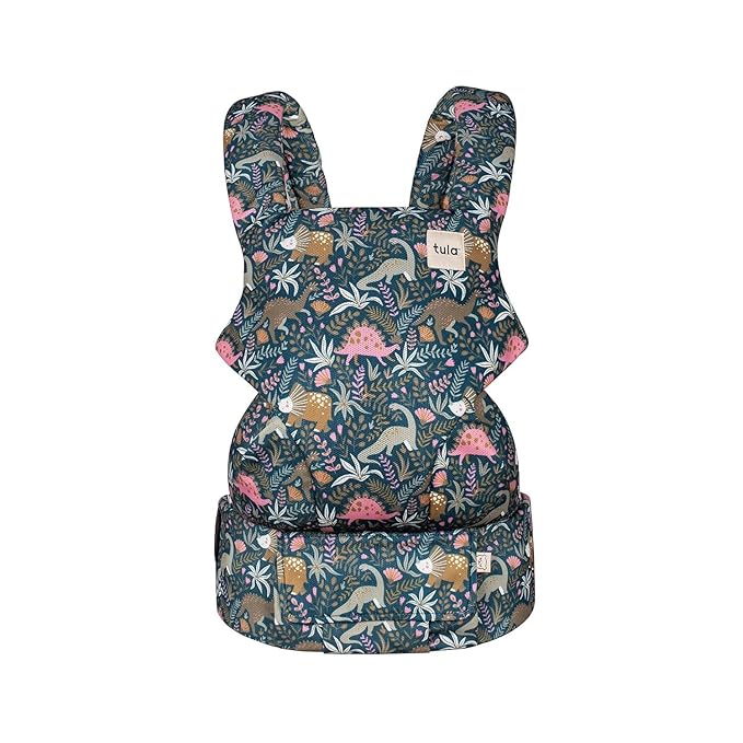 Baby Tula Explore Carriers - Breathable Baby Carrier Newborn to Toddler - Adjustable Toddler Carrier - Multiple Ergonomic Positions Front and Back - Ergonomic Fit for 7-45 lb - Mesh, Land Before-CubbioJoy