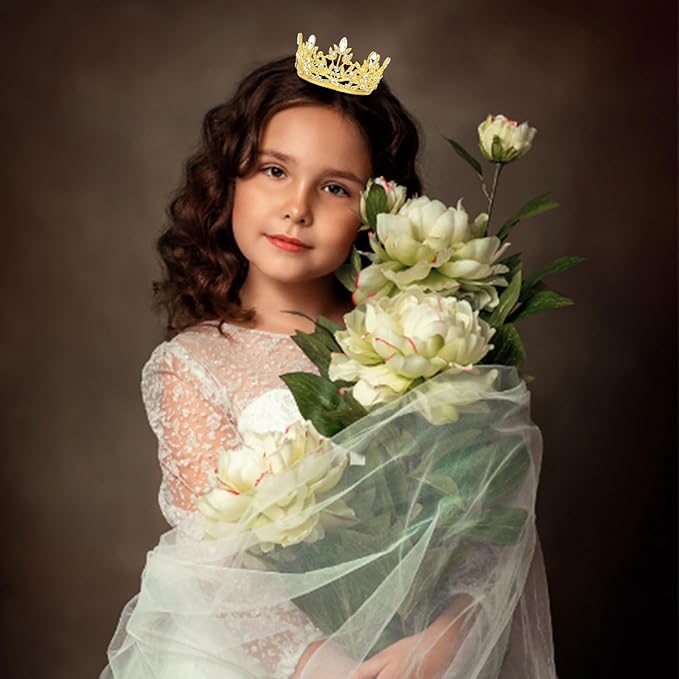 CAVETEE Mini Crown Cake Topper, Small Princess Tiara Crystal Crown Flower Bouquets Accessories for Cake Topper, Flower Arrangements and Decorations (gold)-CubbioJoy