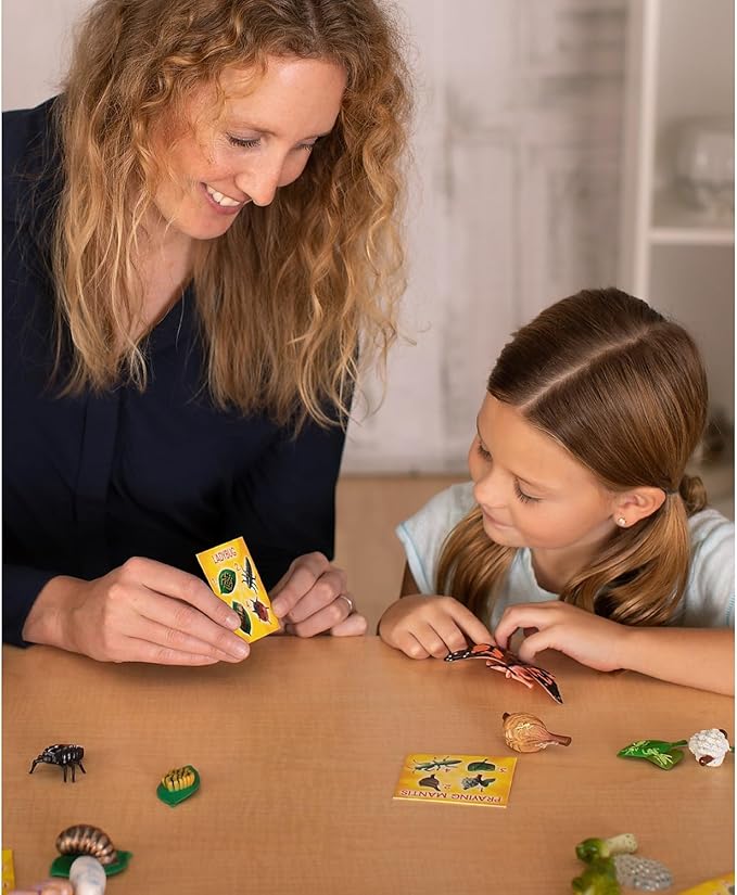 Insect Lore's Life Cycle Figurines 24 Pc Set | Butterfly, Ladybug, Frog, Honey Bee, Ant and Praying Mantis | 4 Stages Per Insect, 24 Figurines Total-CubbioJoy