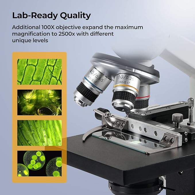 Constant Temperature Lab Monocular Compound Microscope 40X-2500X Magnification with 7" LCD Screen 5MP E-Eyepiece, Adjustable Thermostat Mechanical Stage for Husbandry, Pet Hospitals,Farms-CubbioJoy