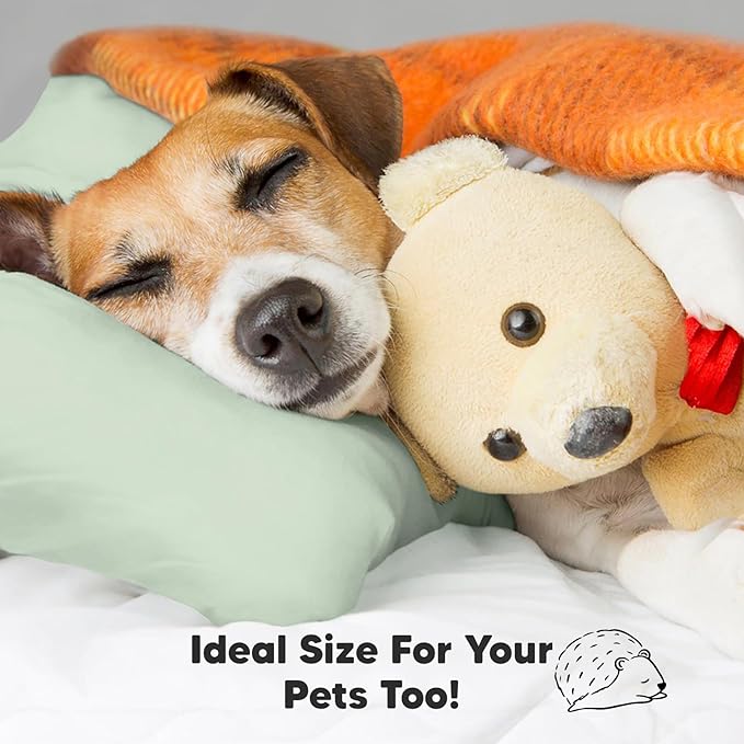 KeaBabies Toddler Pillow with Pillowcase, Jumbo 14X20 - Soft Organic Cotton Toddler Pillows for Sleeping - Machine Washable - Perfect for Travel, Toddler Bed Set (Sage)-CubbioJoy