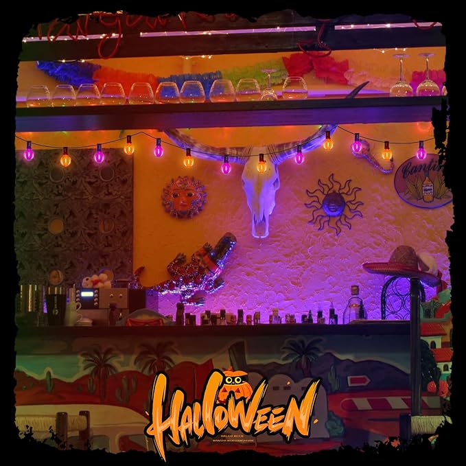 25FT Outdoor Halloween String Lights, G40 Outdoor Halloween Decorations Light with 27 LED Shatterproof Orange Purple Globe Lights(2 Spare), Hanging Patio Lights for Holiday Balcony Backyard Party-CubbioJoy