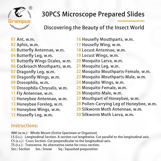 30 Prepared Microscope Slides with Specimens for Kids Students - Insects, for Biological Science Lab, Children's Science Education, Homeschooling Use-CubbioJoy