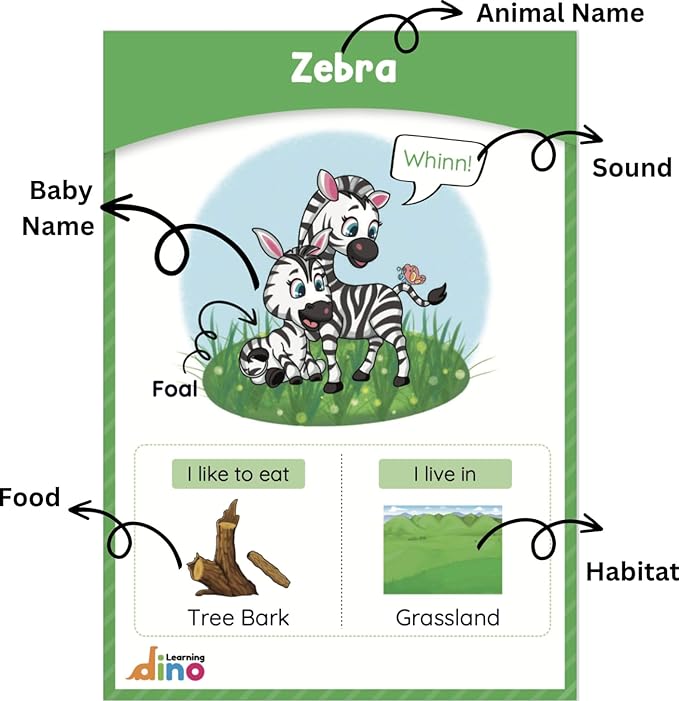 Animals and Their Babies Flashcards | Animal Sound | Animal Habitat Flashcards for Toddlers and Kids - 40 Animals - Non Tearable and Water Resistant | Reusable-CubbioJoy