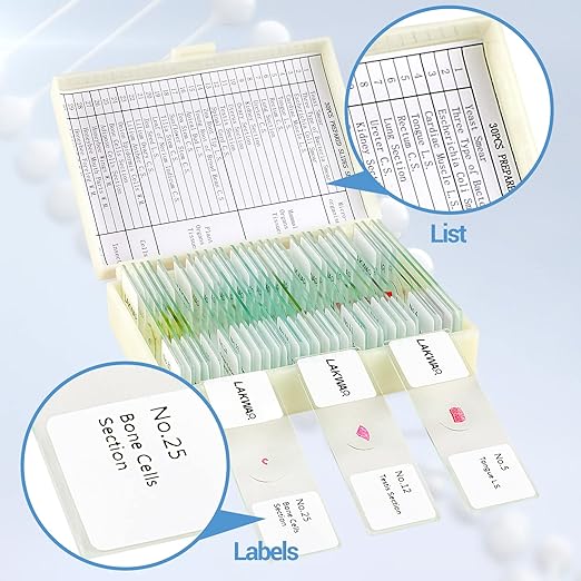 30 Microscope Slides with Specimens for Kids, Prepared Microscope Slides for Kids Microbiology, Glass Slides for Microscope, Biology Gifts for Adults Kids-CubbioJoy
