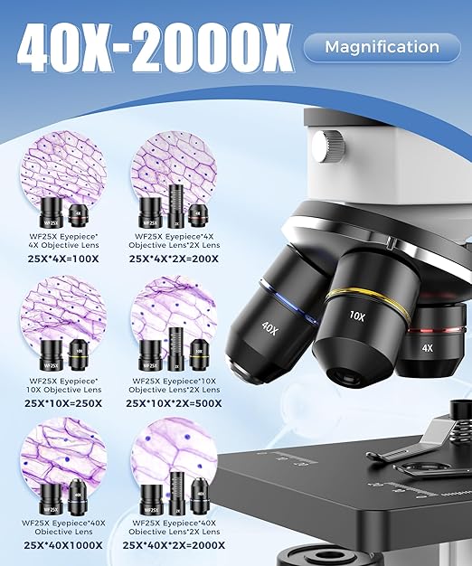 Compound Microscope for Adults & Kids - 100X-2000X High-Power Biological Microscope for Students, School Lab & Home Education, with Slides Set & Phone Adapter (White)-CubbioJoy