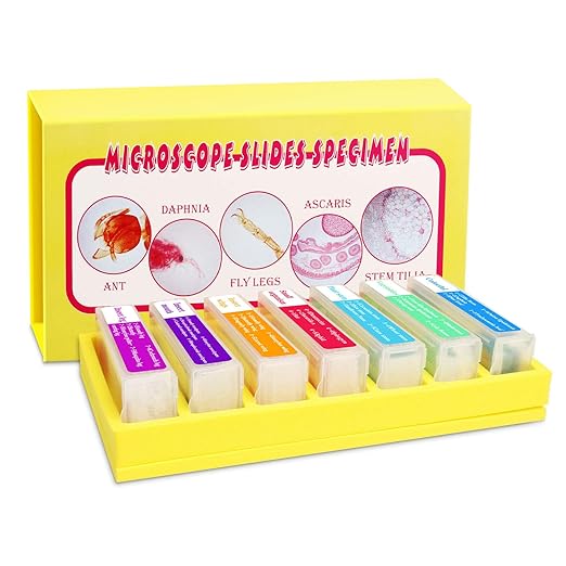 35PCS Prepared Microscope Slides with 7 Types Specimens, Insect/Plant Glass Sample Slide for Kids Adults Family Preschool Education Scientific Enlightenment-CubbioJoy