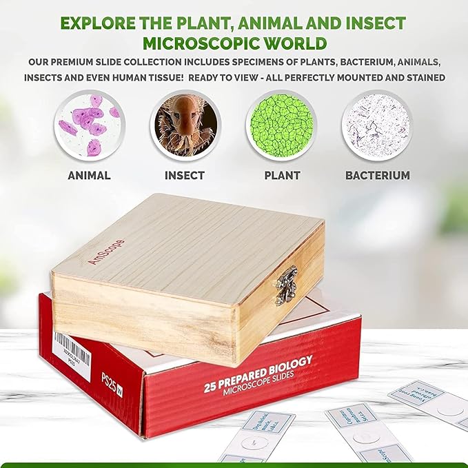 AmScope PS25W Prepared Microscope Slide Set for Basic Biological Science Education, 25 Slides, Includes Fitted Wooden Case-CubbioJoy