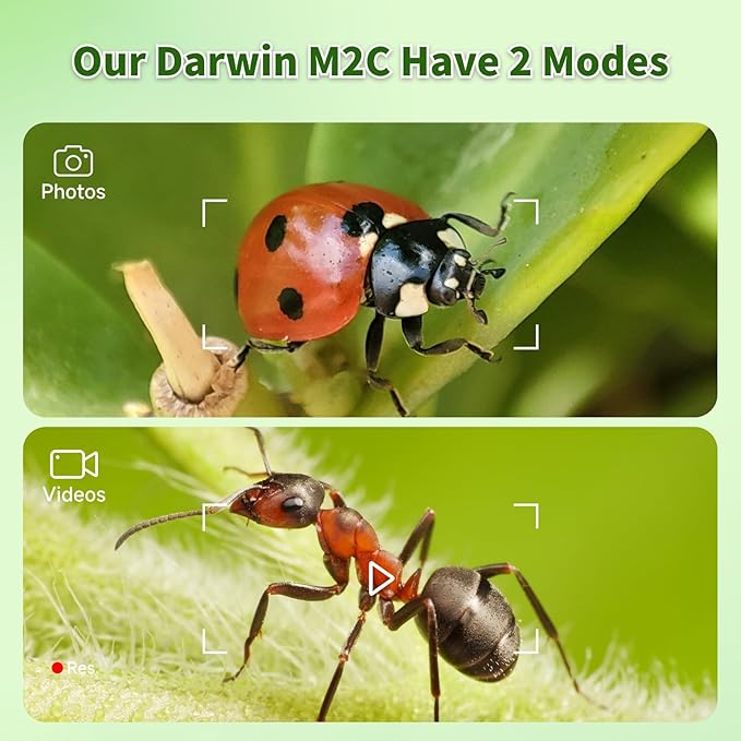 Digital Microscope with 4 Inch Screen, 1080P HD 1600X Kids Portable Handheld Microscope with 8G Card for Scientific Experiment-CubbioJoy