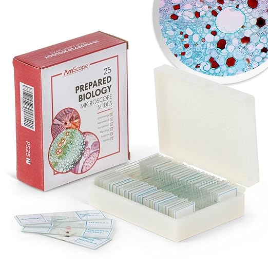 AmScope 25pc Prepared Glass Microscope Slides in Plastic Case with Plant, Fungus, Insect and Mammal Specimens-CubbioJoy