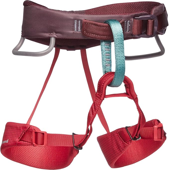 BLACK DIAMOND Kids Momentum Climbing Harness, One Size, Fits Most Children Between 35-80 lbs-CubbioJoy