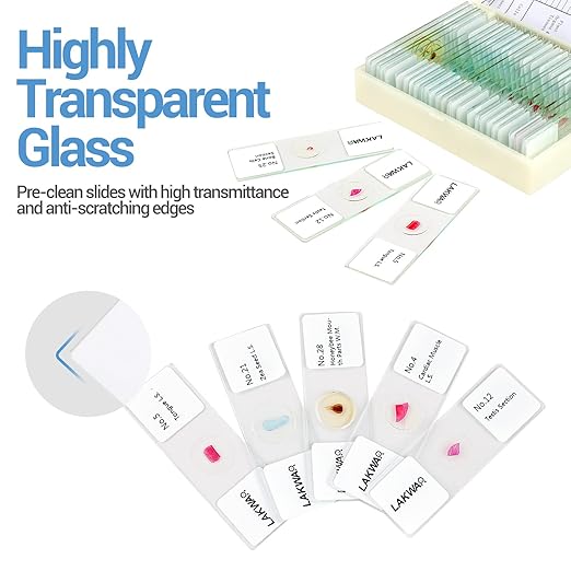 30 Microscope Slides with Specimens for Kids, Prepared Microscope Slides for Kids Microbiology, Glass Slides for Microscope, Biology Gifts for Adults Kids-CubbioJoy