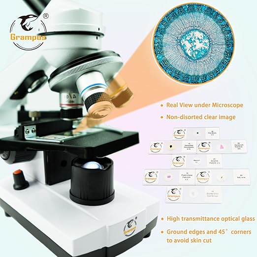 30 Prepared Microscope Slides with Specimens for Kids Students - Animals Plants Insects Microorganism, for Biological Science Lab, Children's Science Education, Homeschool-CubbioJoy