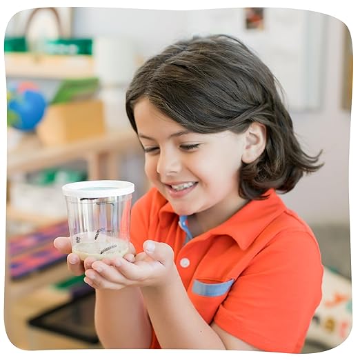 Insect Lore Cup of Caterpillars - 5 Live Painted Lady Caterpillars with Food - Refill for Butterfly Garden Kit - Stickers & Chrys-A-Lid Holding Log Included - STEM Learning Activity-CubbioJoy
