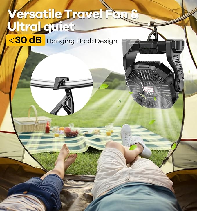 20000mAh Portable Battery Powered Camping Fan - with LED Light, Quiet Battery Operated, Camping Gear for Travel, Tent, Beach, Car or Hurricane Power Outages, Black-CubbioJoy