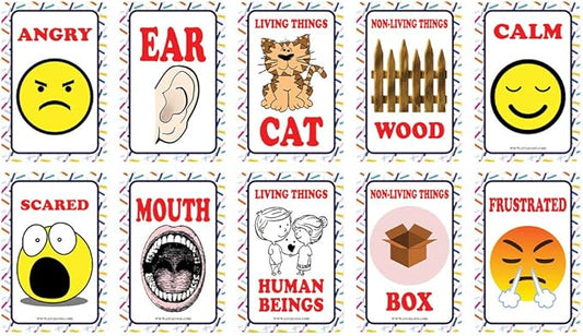 Creanoso US Schools and Learning Flash Cards Series (2-Deck)-CubbioJoy