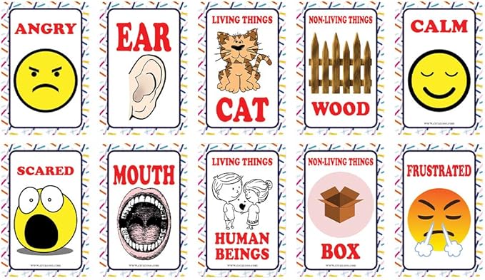 Creanoso US Schools and Learning Flash Cards Series (2-Deck)-CubbioJoy