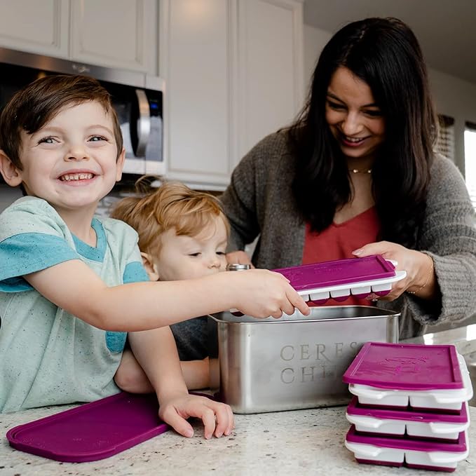 CERES CHILL The Milkstache Luxe Reusable Breastmilk Freezer Storage Container - 1/2 Ounce Cubes fit Any Baby Bottle, Freezing Pumped Milk has Never Been Easier (Stainless Steel), 1 Count-CubbioJoy