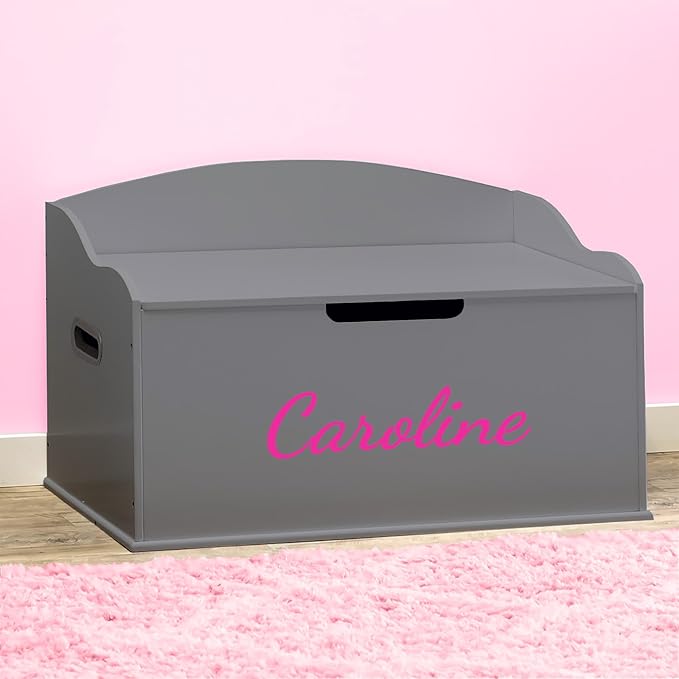 DIBSIES Personalized Creative Wonders Toy Box, Signature Series for Girls, 30 x 19.25 x 18 inches, Soft-Close Lid (Dovetail Grey)-CubbioJoy