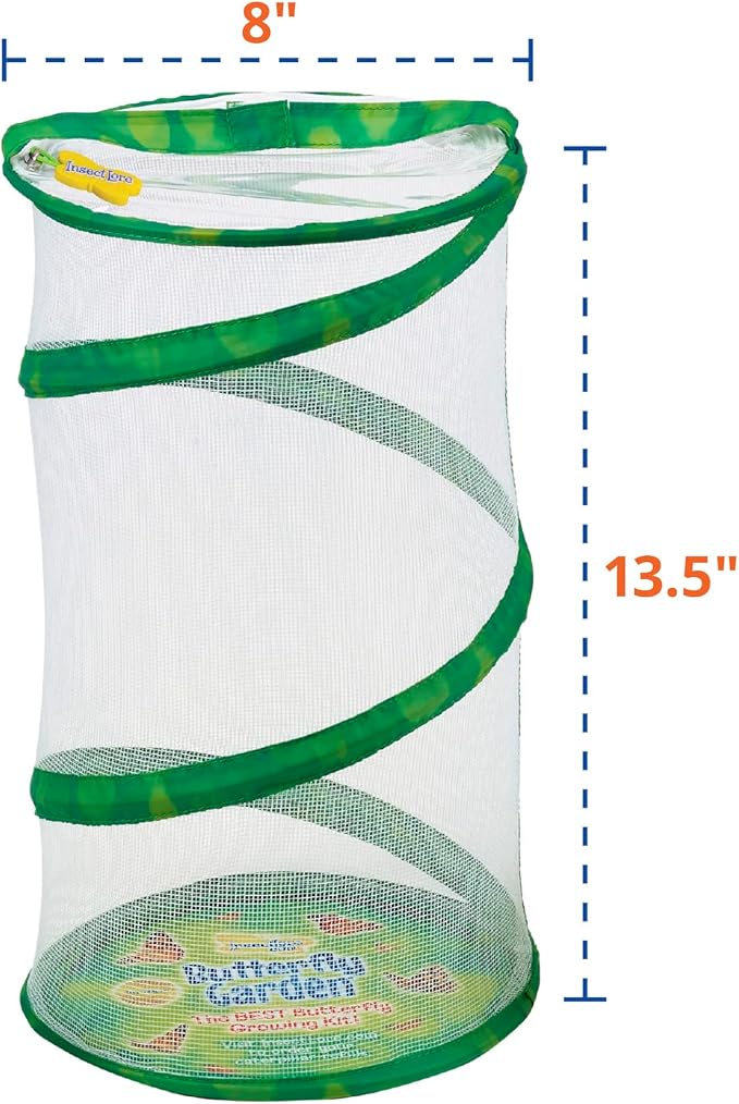 Insect Lore Butterfly Garden - 8" Habitat with 5 Live Baby Caterpillars - Includes Life Cycle Figurines, Stickers, Wind up, Mini Habitat | Birthday or Teacher Gift Set-CubbioJoy