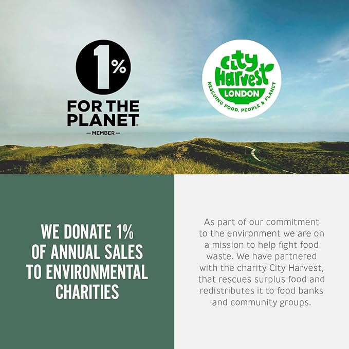 BLACK + BLUM Insulated Bottle Bag - Made with Recycled PET and BPA Free - Bottle Bag for On The Go, Slate-CubbioJoy