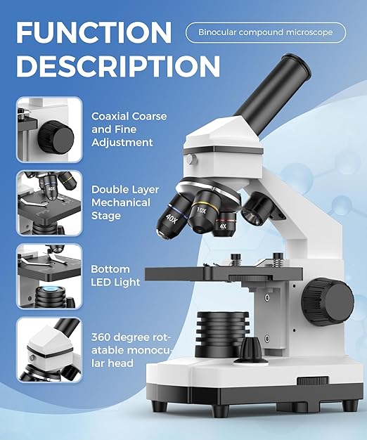 Compound Microscope for Adults & Kids - 100X-2000X High-Power Biological Microscope for Students, School Lab & Home Education, with Slides Set & Phone Adapter (White)-CubbioJoy