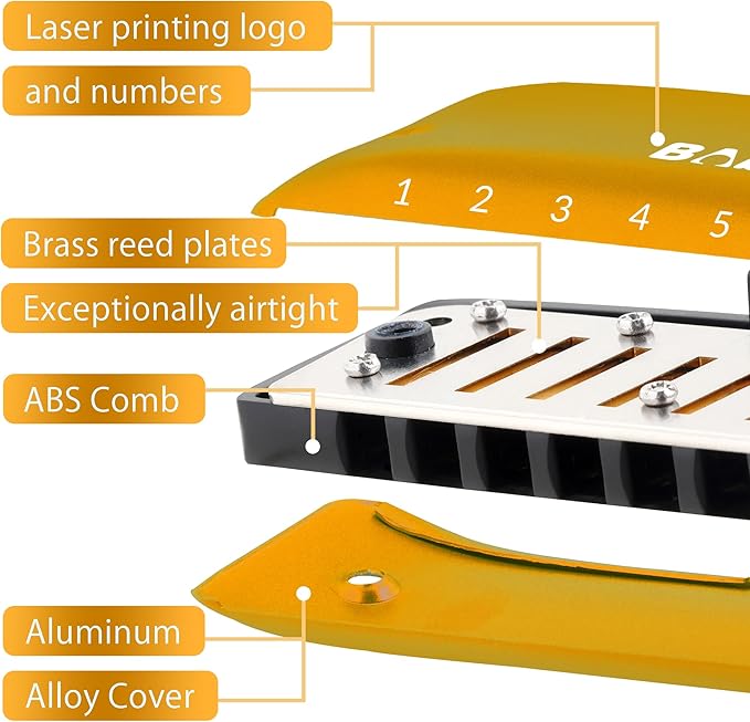 BabyFat 7 Hole Blues Mini Harmonica Set,Diatonic Harmonica with free lanyards,Gifts for Professional Players and Beginners,Easy-playing Musical Instrument(Key of G）-CubbioJoy